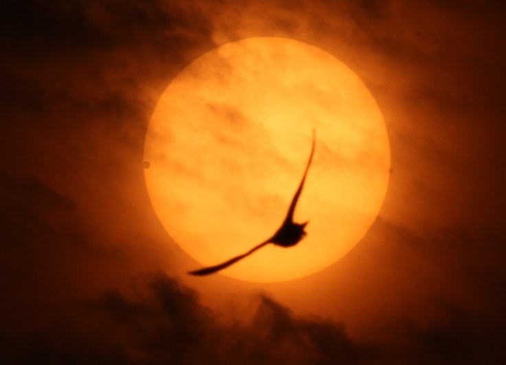 VENUSTRANSIT