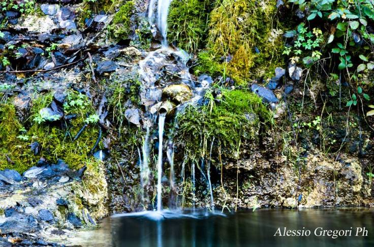 1014270_494482833978643_676375630_n